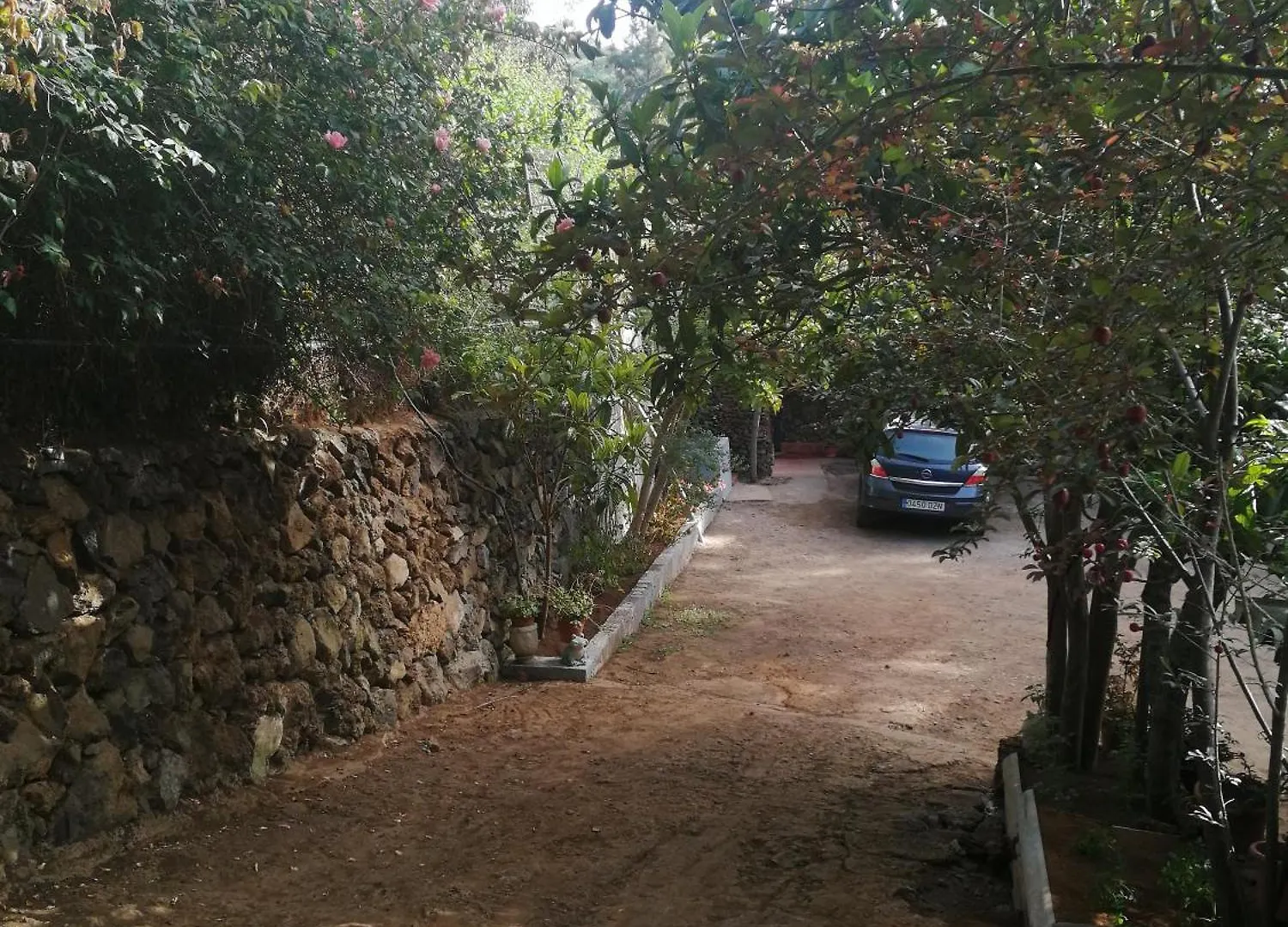 Casa Ecologica, Autosuficiente En Lomo Blanco, Dentro De Una Casa Rodeada De Naturaleza San Juan de la Rambla